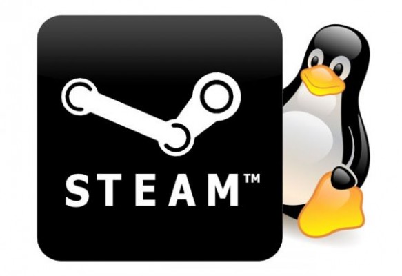 steam linux